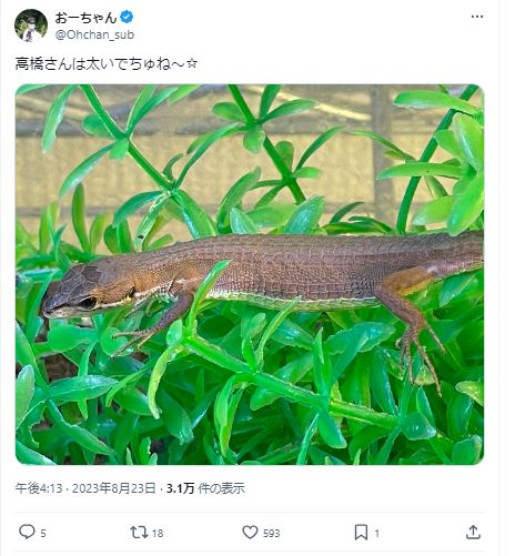 おーちゃんねる　　名前　その3